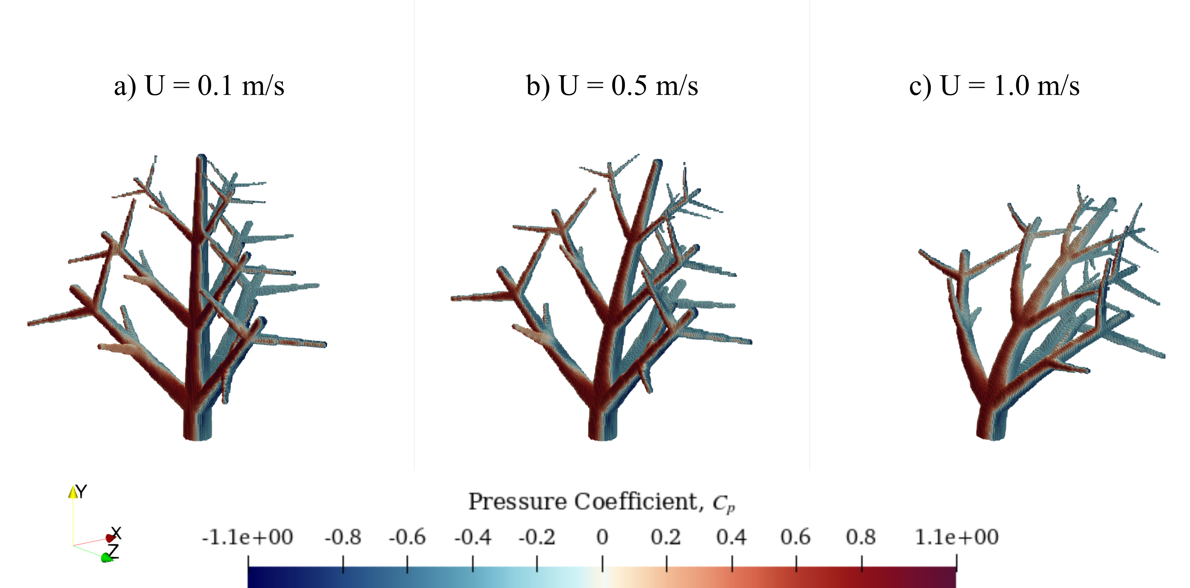 Plant Visual